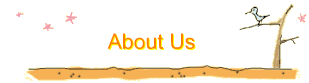 About Us