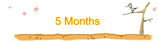 5 Months