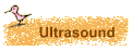 Ultrasound