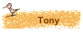 Tony